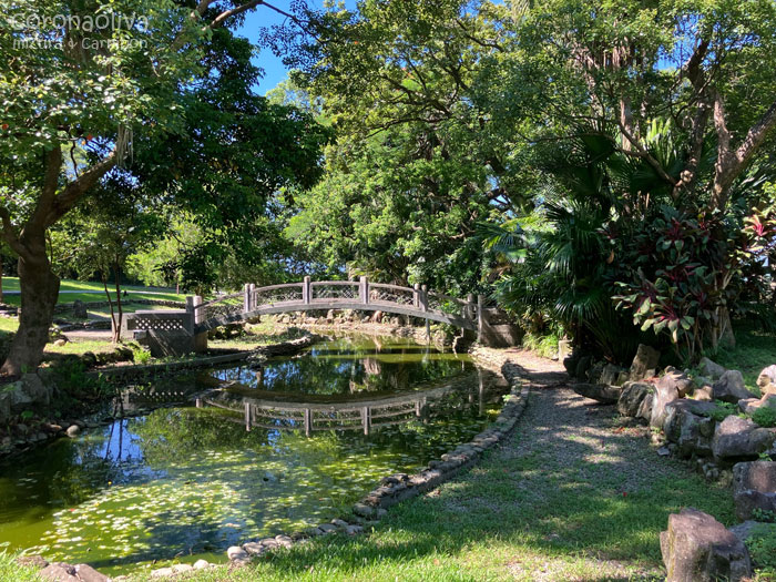 イメージ素材のような大渓中正公園