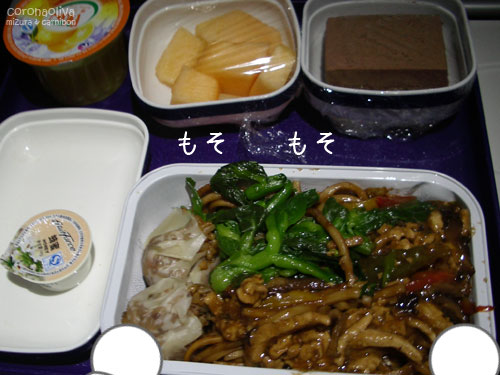 北京を出発後、夜中3時あたりに喰わされる機内食